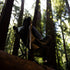 files/MystiQ-Burnt-Olive-LS6_e9a9e141-7b4a-4ee2-b5a9-915c7f479d92.jpg