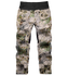 files/NewZenyxPantBack.png