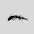 files/Next_Trout_Changer_BLACK.png