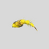 files/Next_Trout_Changer_Olive.png