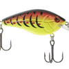 Primetyme CB 1.5