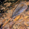 High Sierra - Bamboo Fly Fishing Landing Net/Hand Net