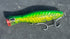 files/Palmarius_Pro_Pop_Oval_Spring_2025_Ltd_Edition_Colors_-_23.jpg