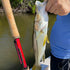 files/Phoenix_Rising_Tenkara_Rod_with_Snook_Catch.jpg