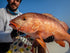 files/PierrePanafishingVMCAssistCatches00009_a7aa6ec5-e2db-4417-bf1d-7b207df050c2.jpg