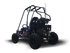 files/R_Go_Kart_5.5hp_Parental_Remote_Control_with_Reverse_Kids_Ages_4-9_-_GoKarts_USA_-1808894.png