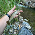 files/Rainbow_Trout_Caught_Near_a_Stream.jpg