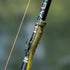 files/S76A7458.jpg