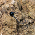 files/S76A7634.jpg