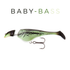 files/SHAD11_BABYBASS.png