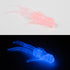 files/SIDEWINDER_CCGLOW_bef89228-a6fa-4016-9c74-6344b0a4b620.jpg