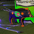 files/Sabre-Lighted-Bowfishing-Arrow-02.jpg