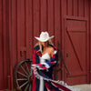 Toby Keith Freedom