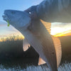 5" Smoke Shad With Built-In Tail Rattle