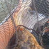 3.25" Baby Trout With Built-In Tail Rattle