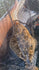 files/Screenshot_2025-08-24_072507.jpg