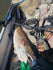 files/Screenshot_2025-08-24_081433.jpg