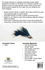 files/SculpinBandit_FLY_TYING_KIT.png