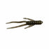 files/Sidewinder_GrnPumpkin_e74bf7ad-50ff-457f-a1a5-f8f1031db652.jpg