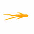 files/Sidewinder_SchoolBus.jpg