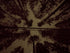 files/Sky_View_Solo_view_through_mesh.jpg