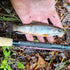 files/Small_Brook_Trout_Caught_with_Tenkara_Rod.jpg
