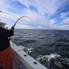 Magictail Striper Special Fishing Rods