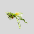 files/Surface_Seducer_Popping_Frog_Yellow.png