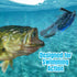 files/Swim_Jigs_-_Infographic_4.jpg
