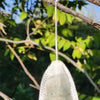 Syn-Misfortune Dab Bags