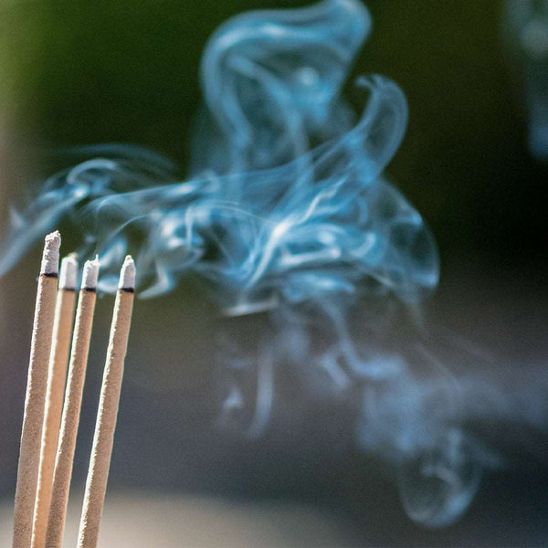 Spliff Stix Trio Pack - Deer Scent Incense