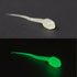 files/TRIDENT_GRNGLOW_b50c9488-1898-4d93-8838-0a51f2bc7a9f.jpg