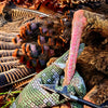 TURKEY SPURS