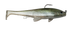 files/TennesseeShad-EXECUTIONERTOPHOOK.png