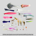 The Pacific Ocean Region - Fly Assortment