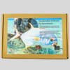 The Bonefish & Permit - Fly Assortment
