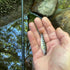 files/Tiny_Fish_Caught_in_a_Clear_Stream.jpg