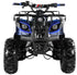 files/TrailMaster_B125_125cc_Utility_ATV_Automatic_with_Reverse_8_inch_Wheels_Ages_12_and_up_-_GoKarts_USA_-1819806.jpg