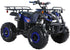 files/TrailMaster_B125_125cc_Utility_ATV_Automatic_with_Reverse_8_inch_Wheels_Ages_12_and_up_-_GoKarts_USA_-1819812.jpg