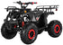 files/TrailMaster_B125_125cc_Utility_ATV_Automatic_with_Reverse_8_inch_Wheels_Ages_12_and_up_-_GoKarts_USA_-1819833.jpg