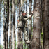 files/TreeHugger_57.png