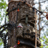 files/Tree_Hugger_63.png