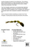 files/Trout_Changer_FLY_TYING_KIT.png