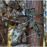 files/Untitled_design_3_688f007c-8377-478b-b3c6-cc1718bd413f.png
