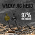 files/WackyJigHead-Infographics1.jpg