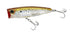 files/Yo-Zuri-3D-Inshore-Poppers-756791540903_image5__26034_d6d82e0d-05e0-4976-a2e0-24a284498041.jpg