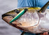 files/Yo-Zuri-Mag-Dive-756791549081_image5__95046.jpg