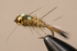 files/a90445c8-95e8-4863-89af-864c90d93be6.png