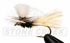 files/ae8e0821-af3c-433c-b02b-3f44c447dd40.png