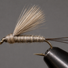 RS2 Emergers
